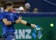 雷火电竞-纳达尔赛事官方发布战术调整新规，中国队争议不断！的简单介绍